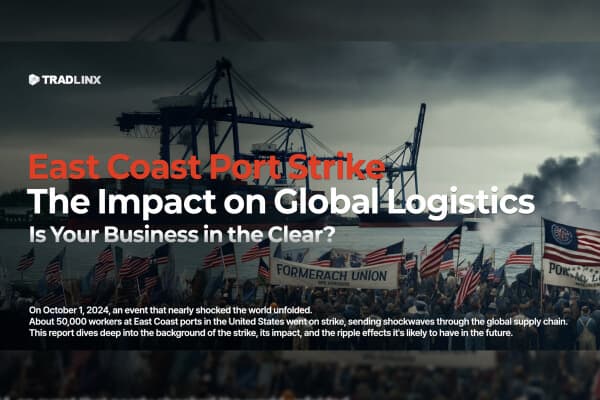 US East Coast Port Strike Key Issues of the Economic Crisis and Response Strategies